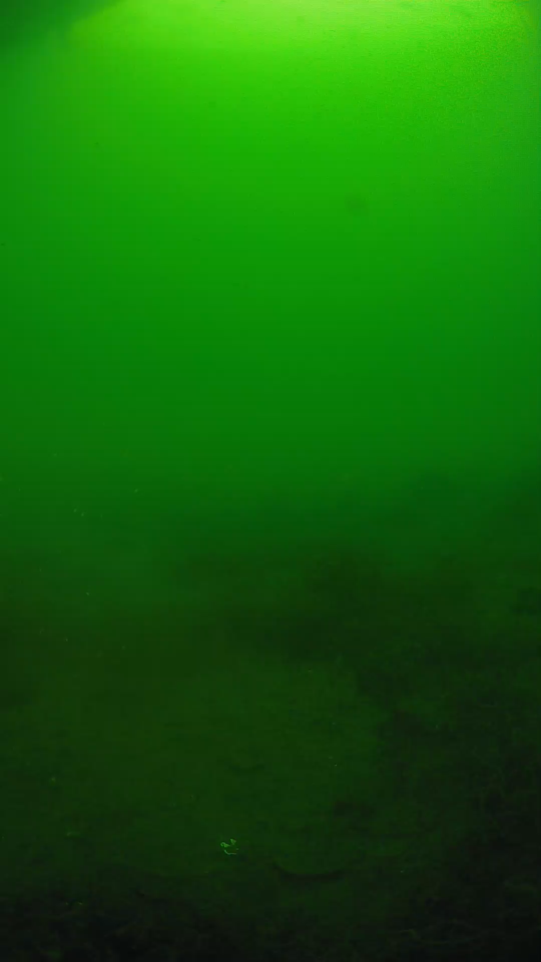 lander_ipcam_20250605074633.png