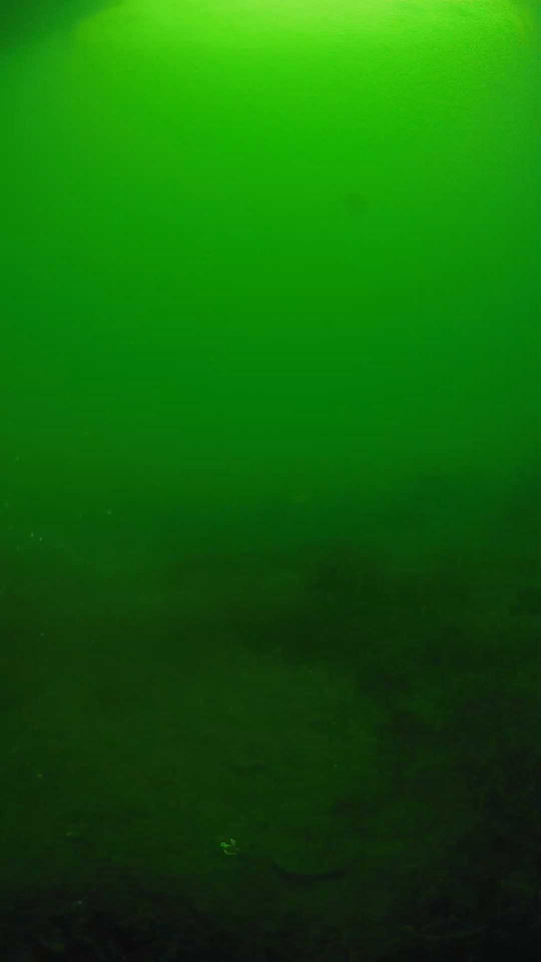 lander_ipcam_20250605074636.png