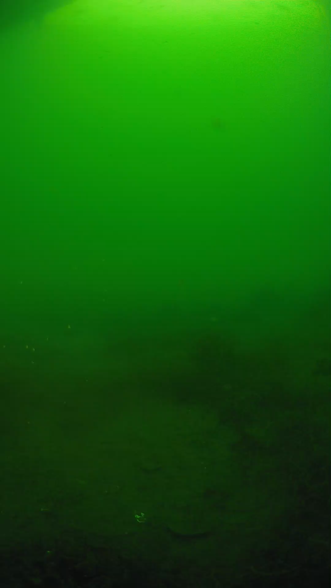 lander_ipcam_20250605074639.png