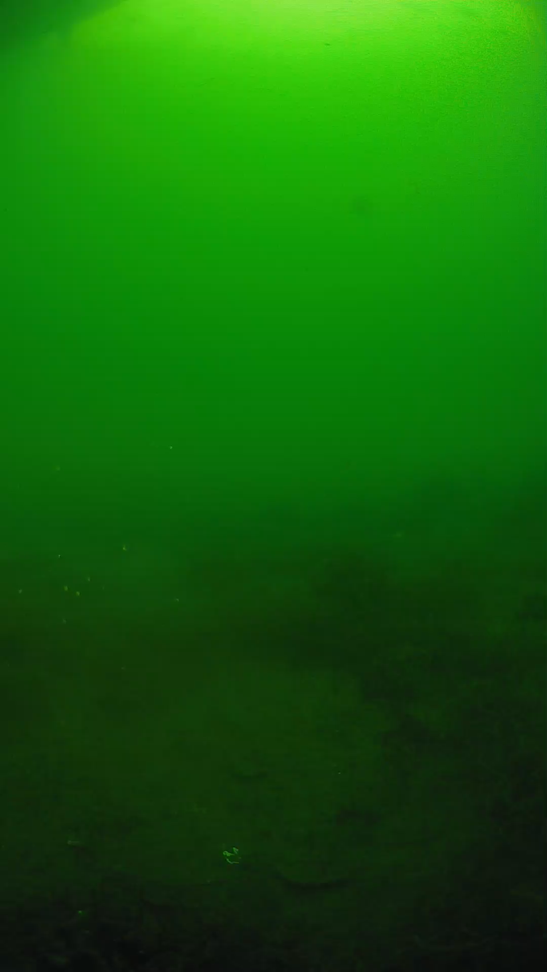 lander_ipcam_20250605074640.png