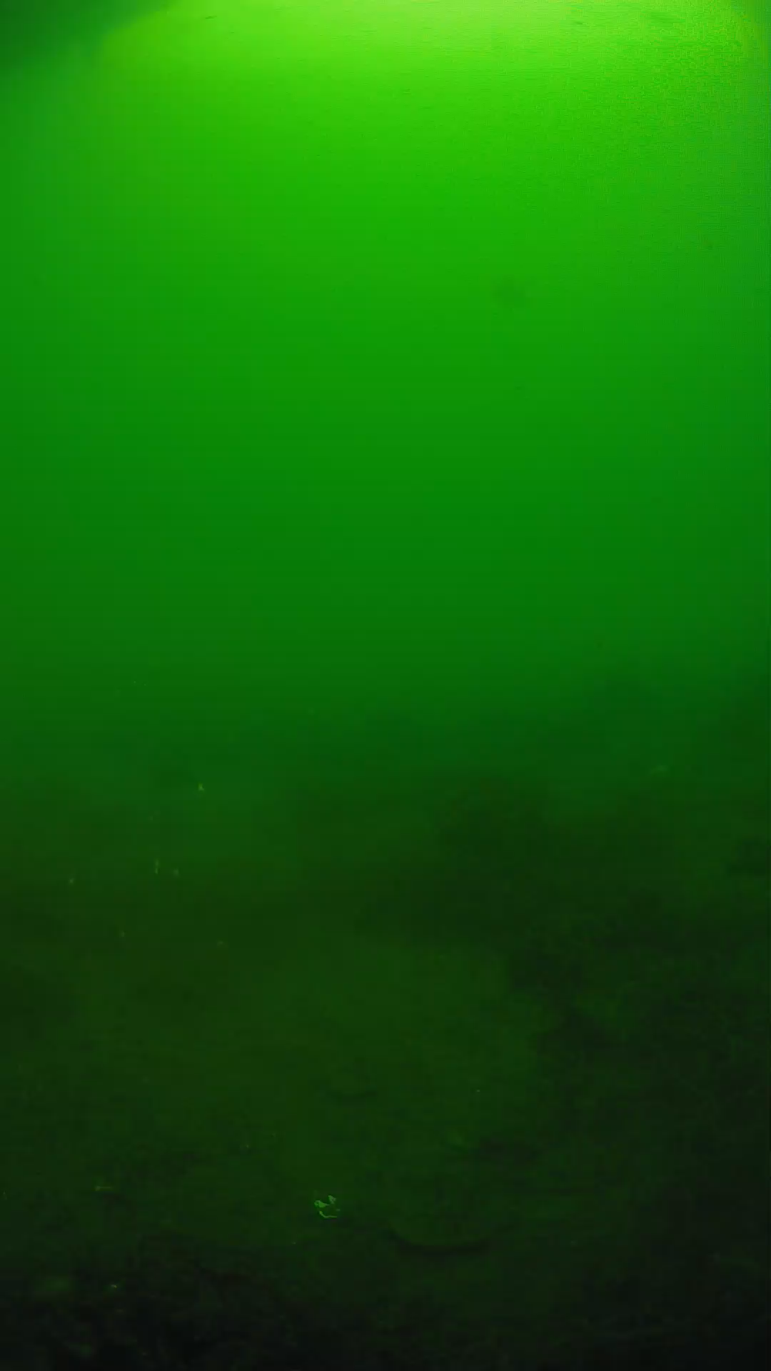 lander_ipcam_20250605074642.png