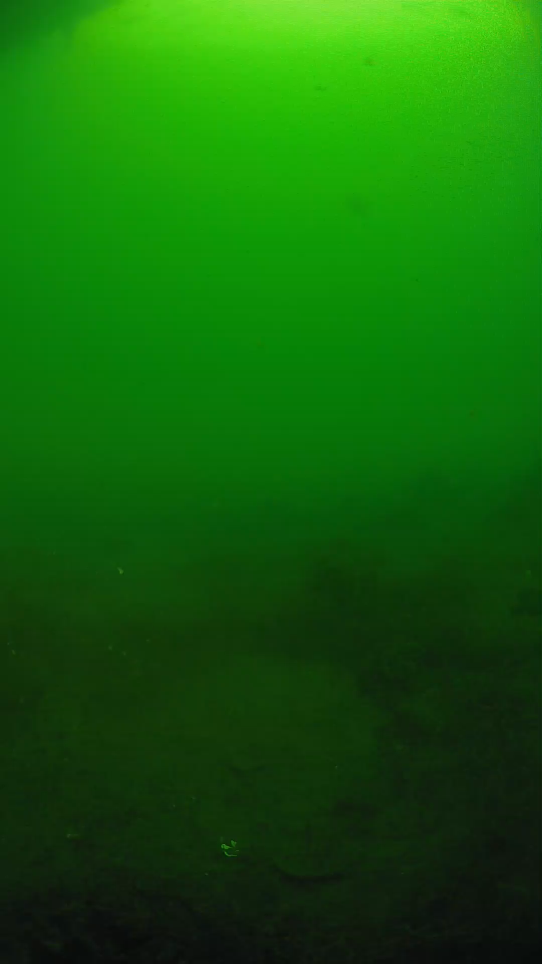 lander_ipcam_20250605074648.png