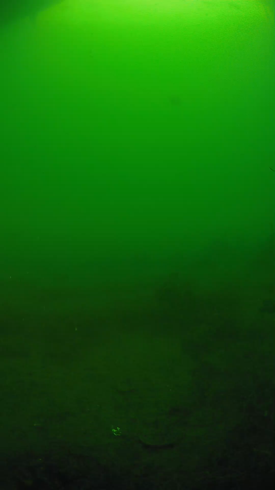 lander_ipcam_20250605074701.png