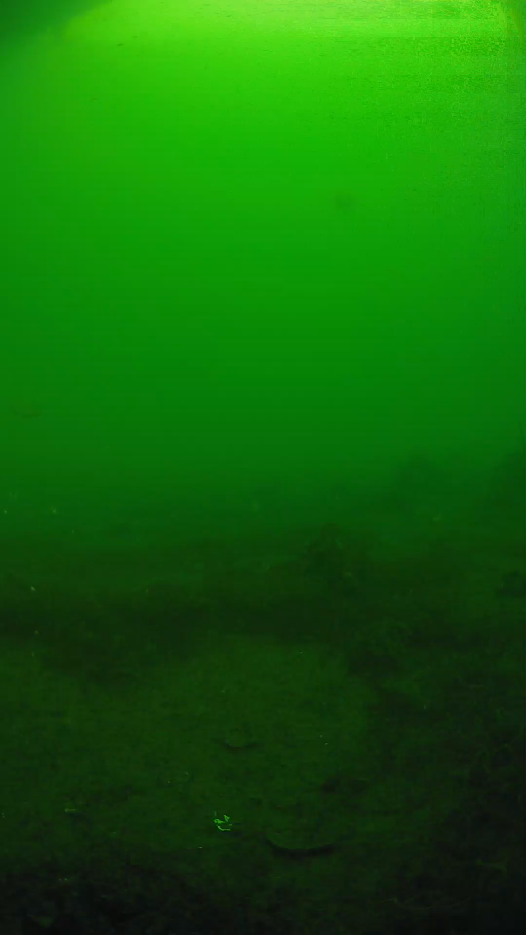 lander_ipcam_20250605080103.png