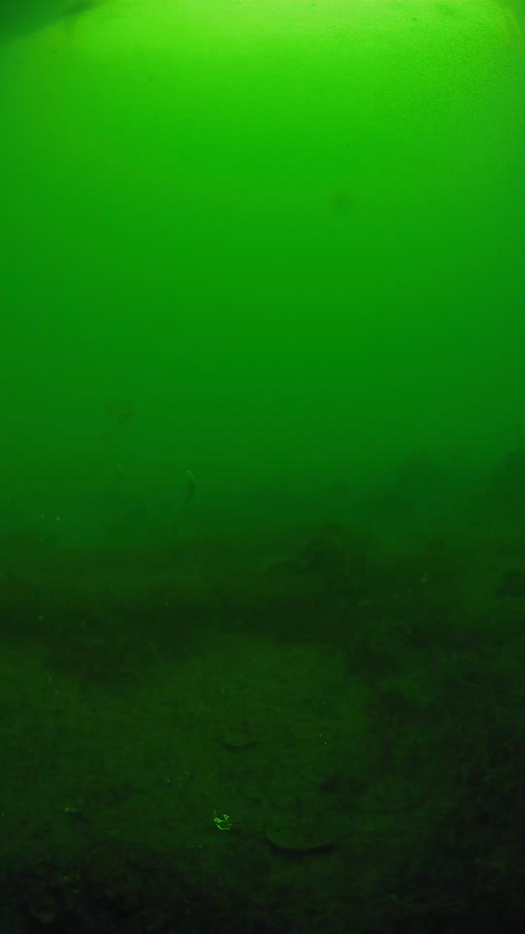 lander_ipcam_20250605080108.png