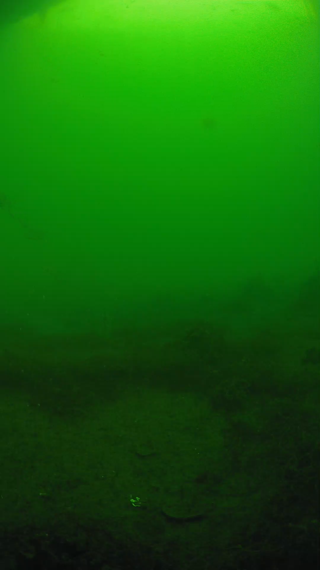 lander_ipcam_20250605080111.png