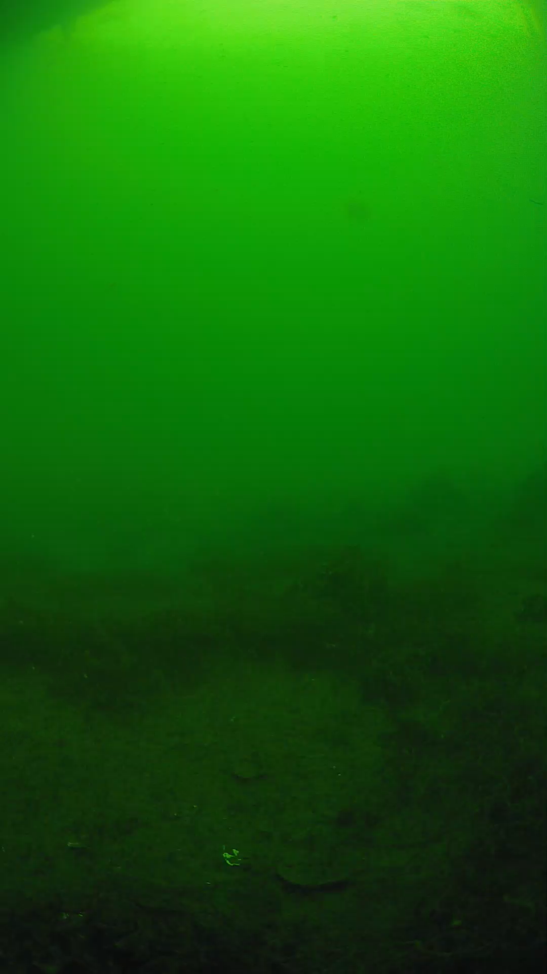 lander_ipcam_20250605080115.png