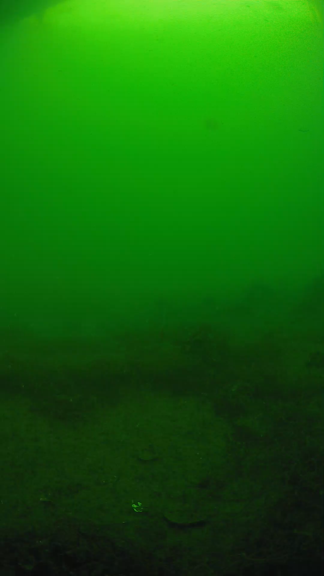 lander_ipcam_20250605080120.png