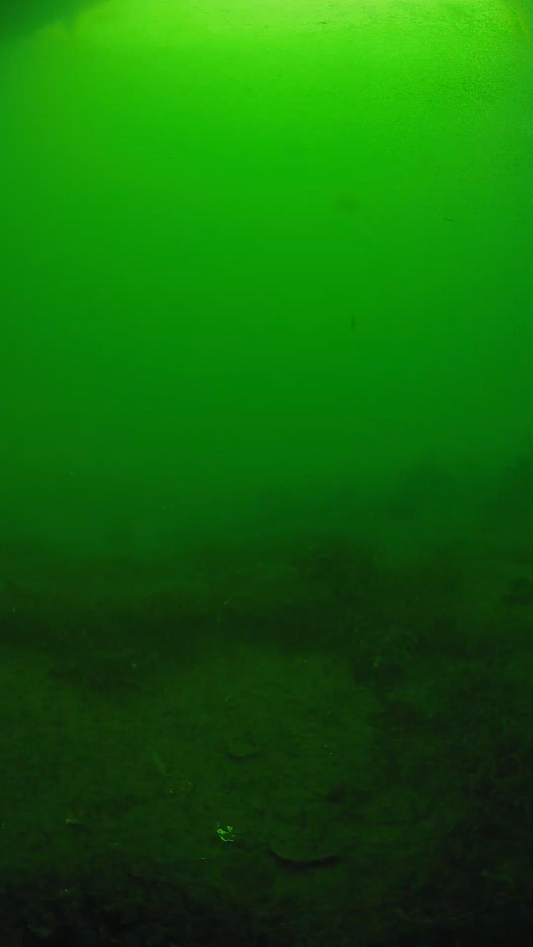 lander_ipcam_20250605080126.png