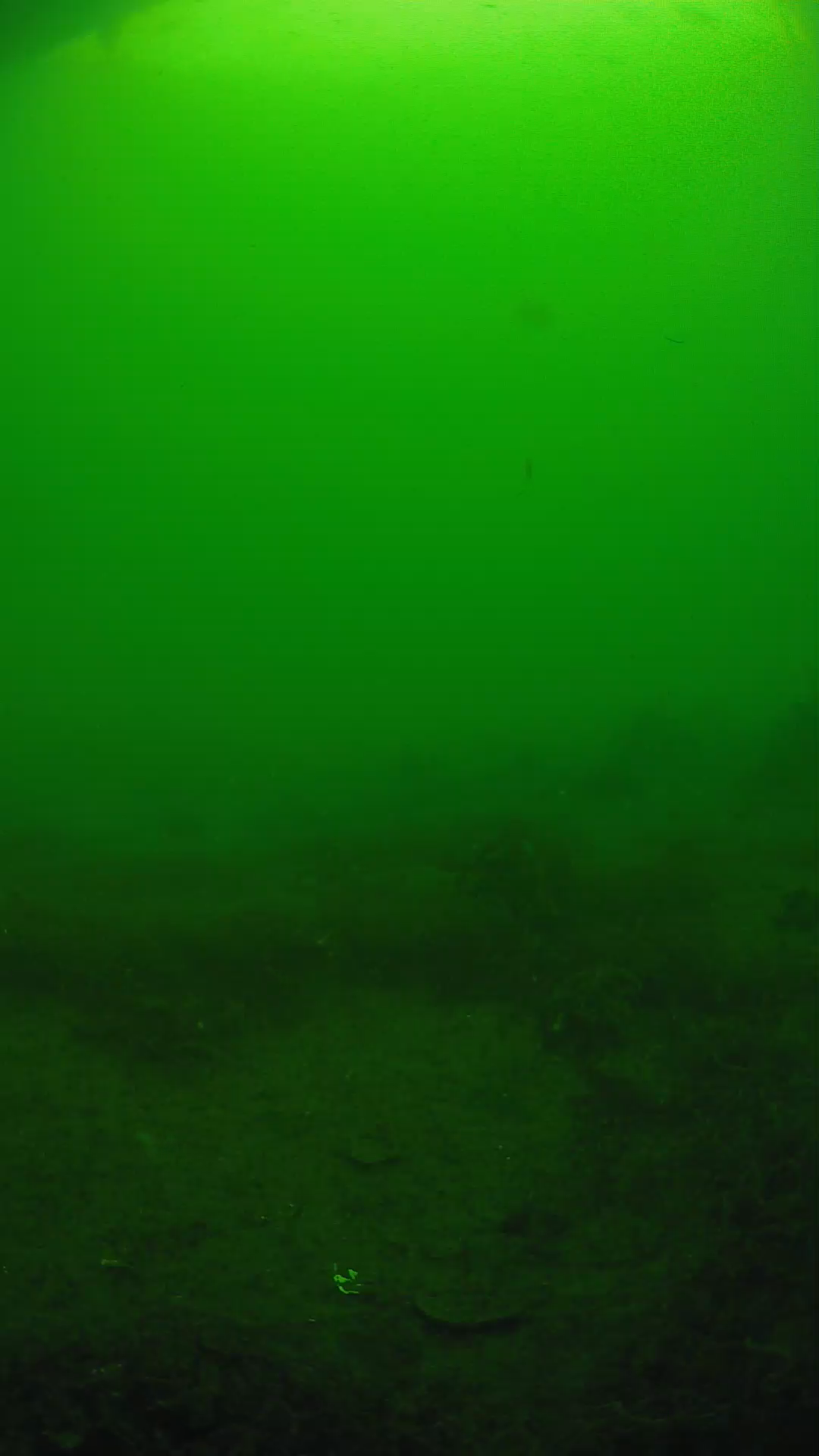 lander_ipcam_20250605080127.png