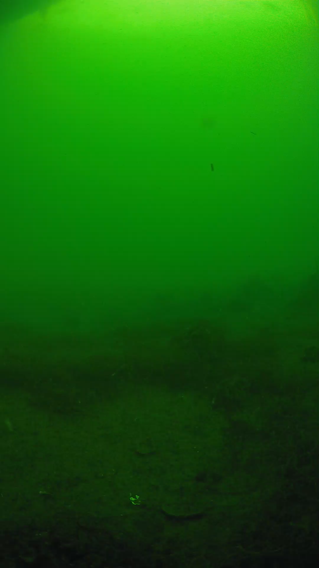 lander_ipcam_20250605080129.png