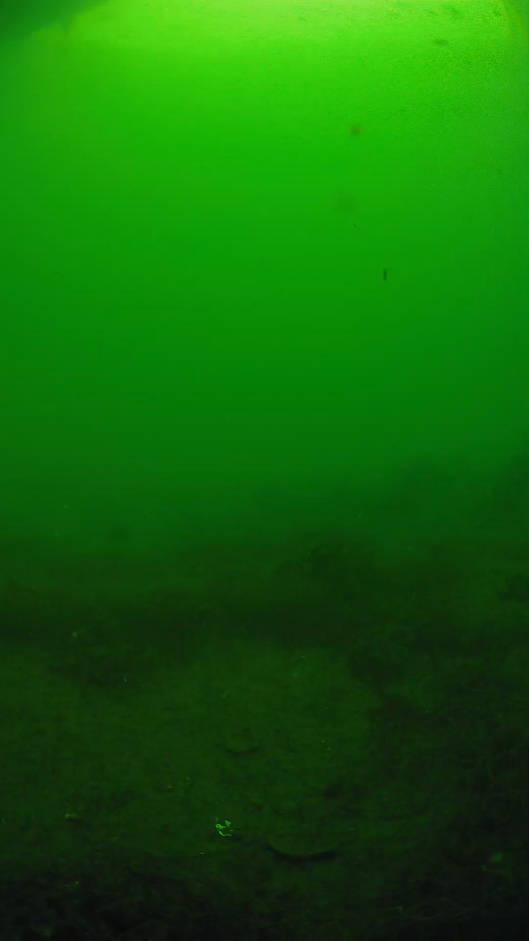 lander_ipcam_20250605080135.png