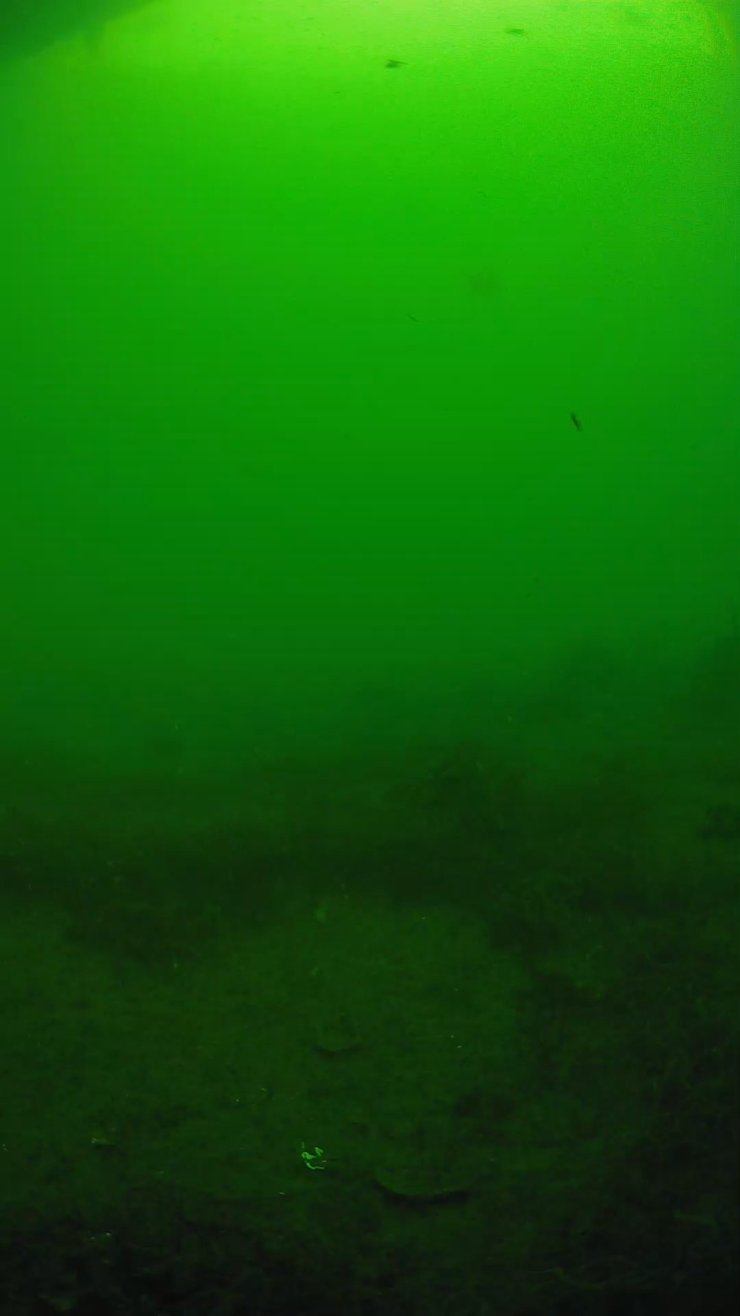 lander_ipcam_20250605080141.png