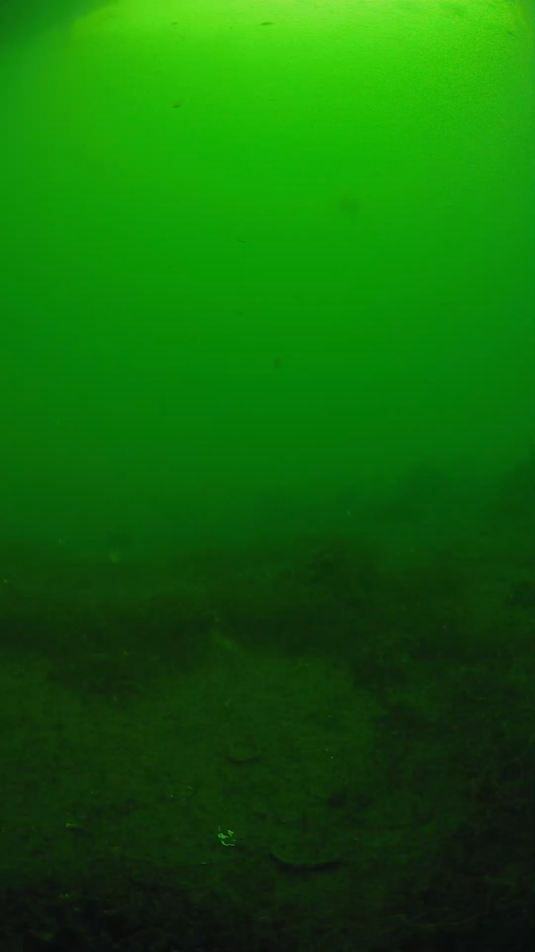 lander_ipcam_20250605080146.png