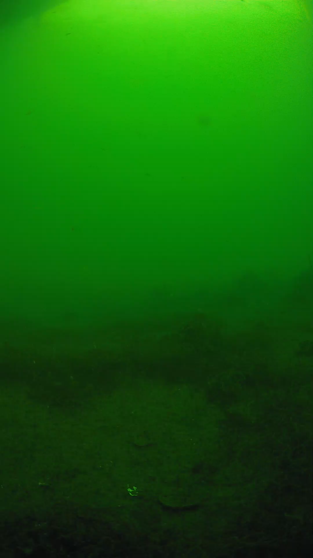 lander_ipcam_20250605080150.png