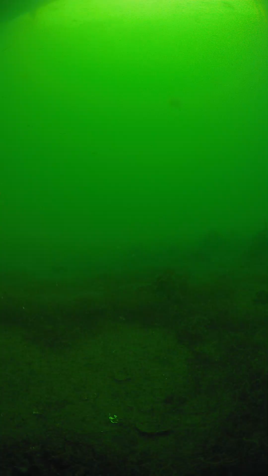 lander_ipcam_20250605080153.png