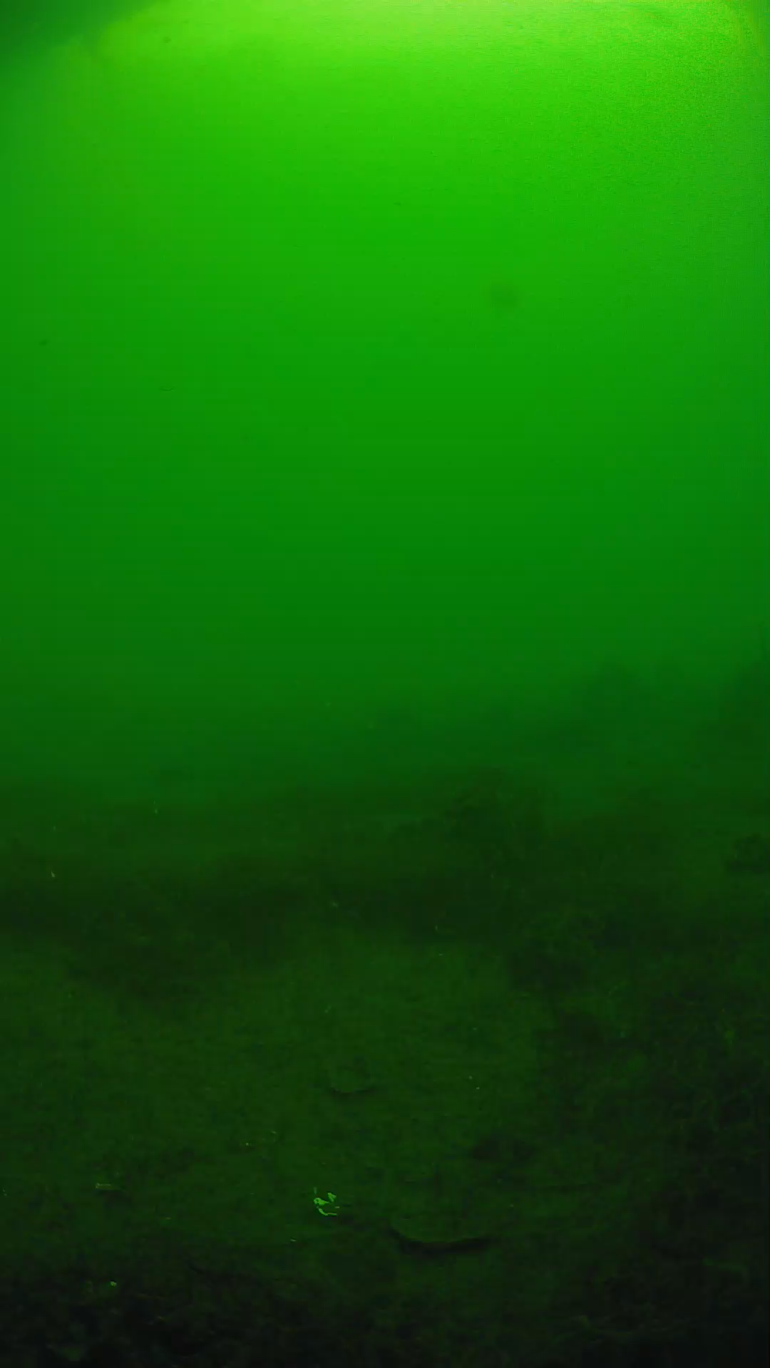 lander_ipcam_20250605080154.png
