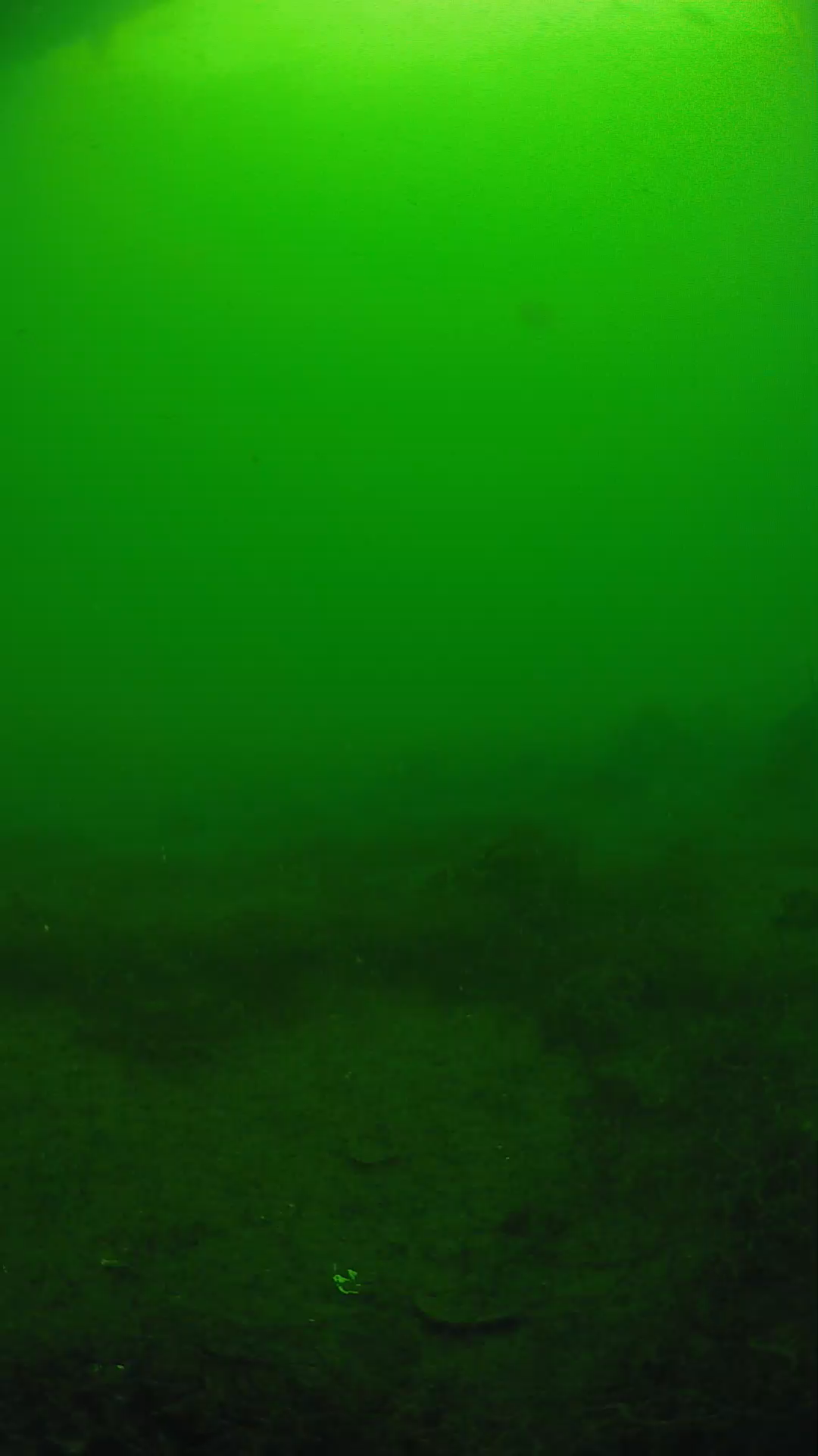 lander_ipcam_20250605080155.png