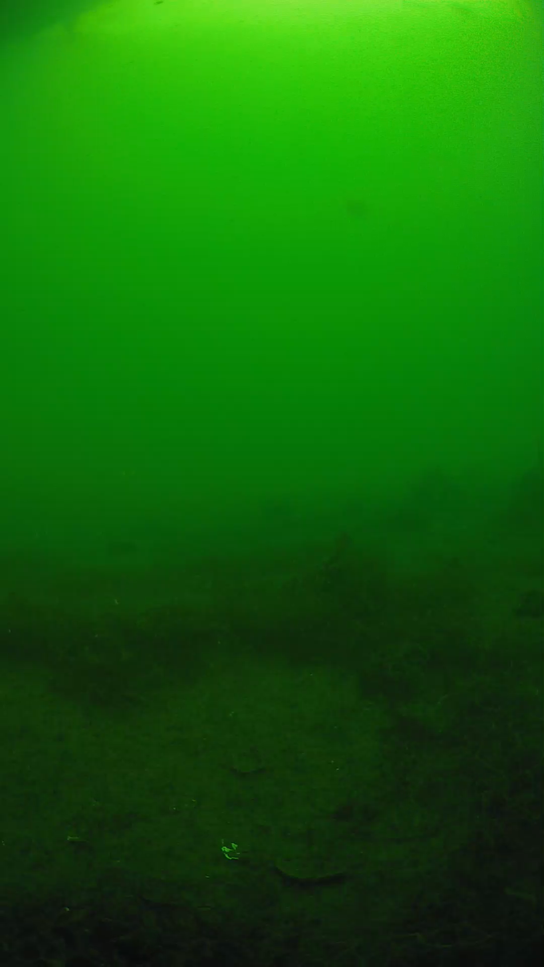 lander_ipcam_20250605080201.png