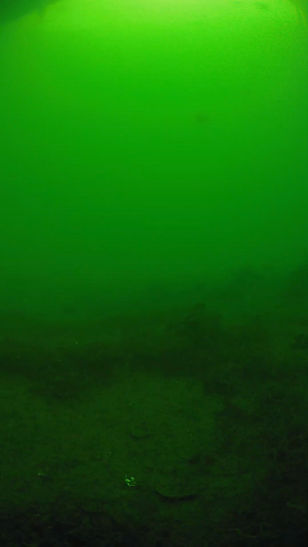lander_ipcam_20250605080202.png