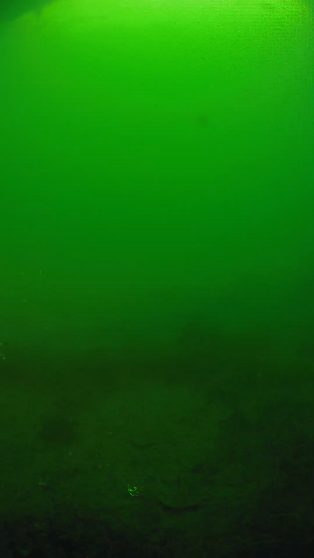 lander_ipcam_20250605081606.png