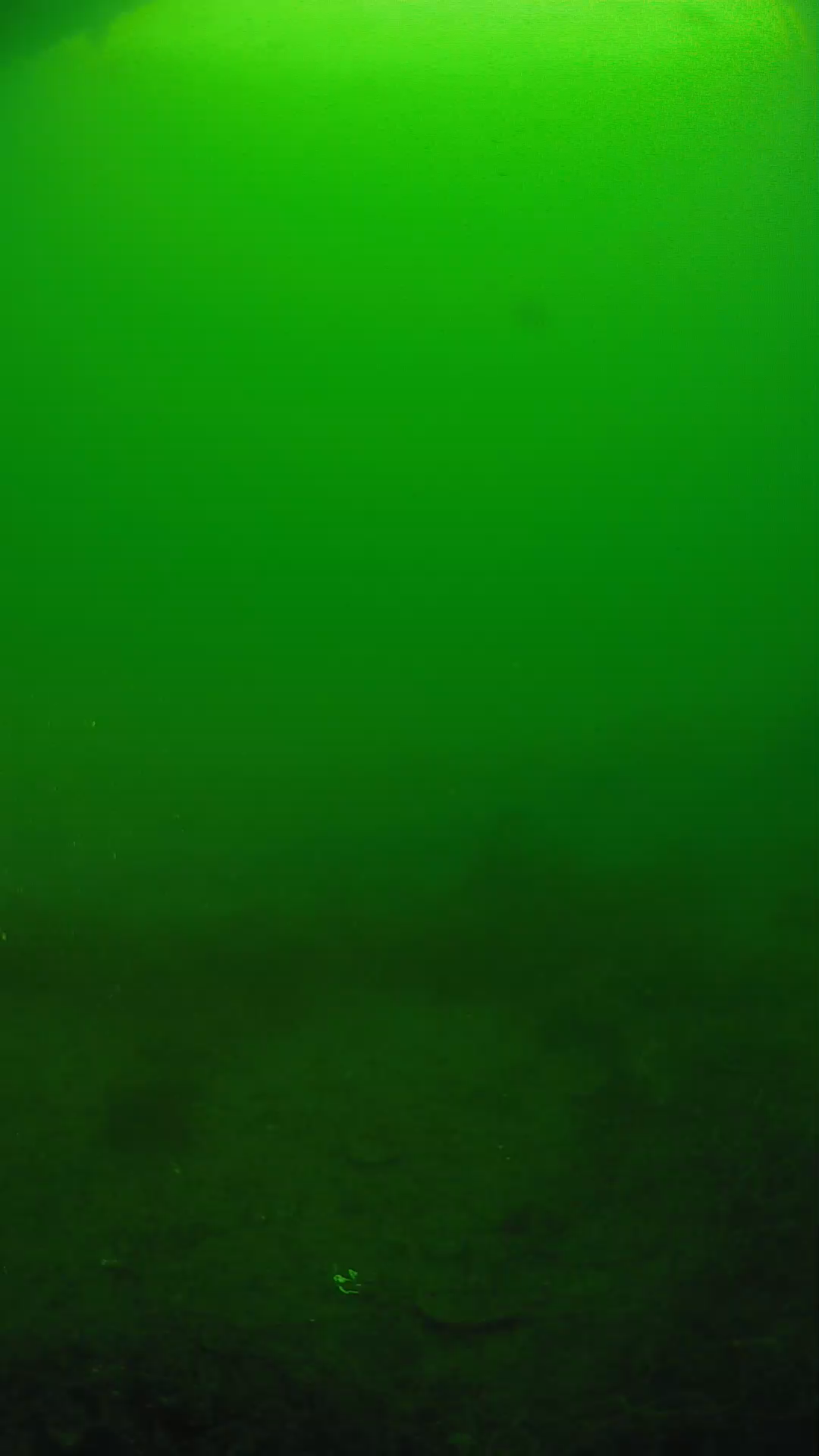 lander_ipcam_20250605081608.png