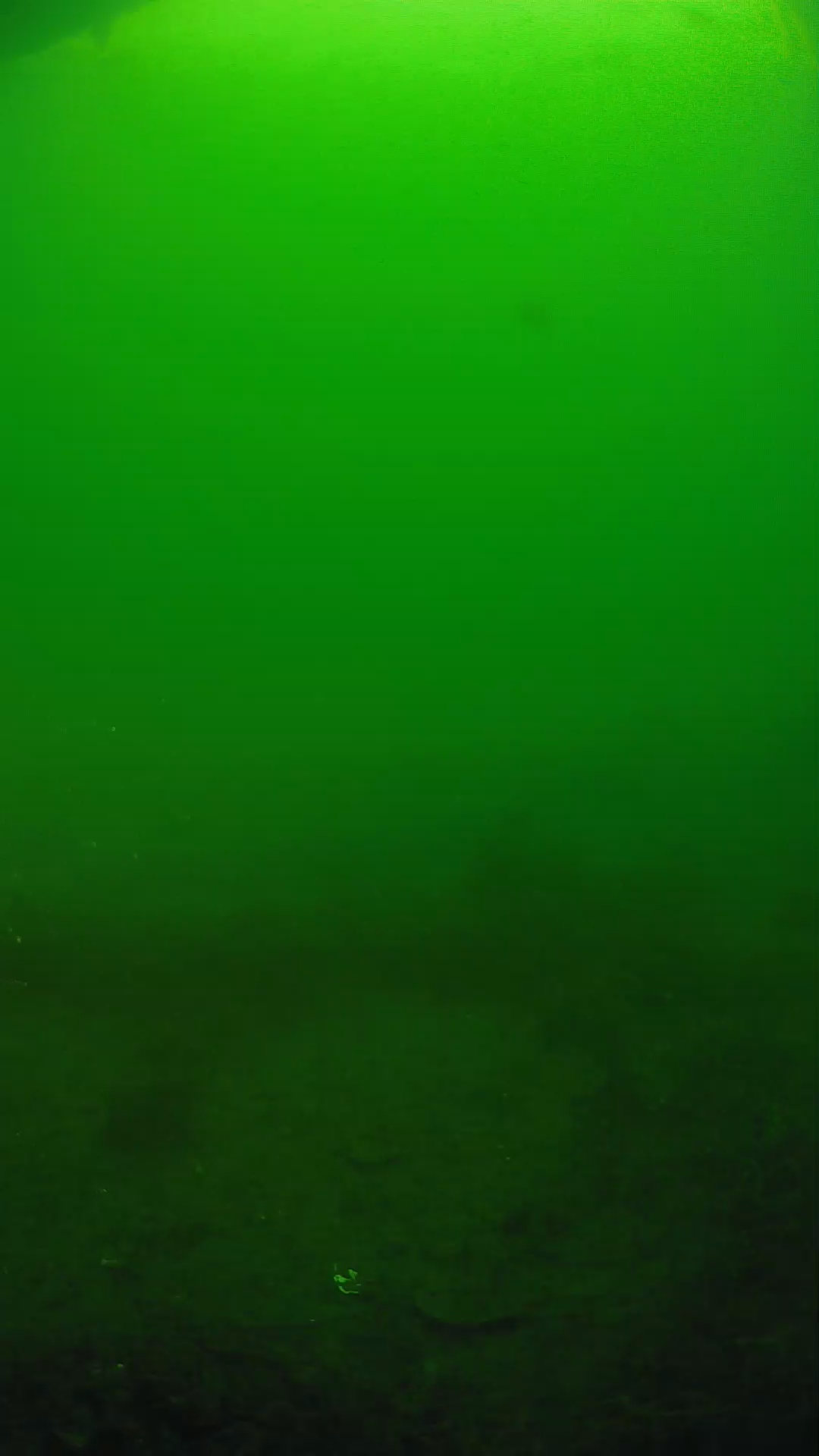 lander_ipcam_20250605081609.png