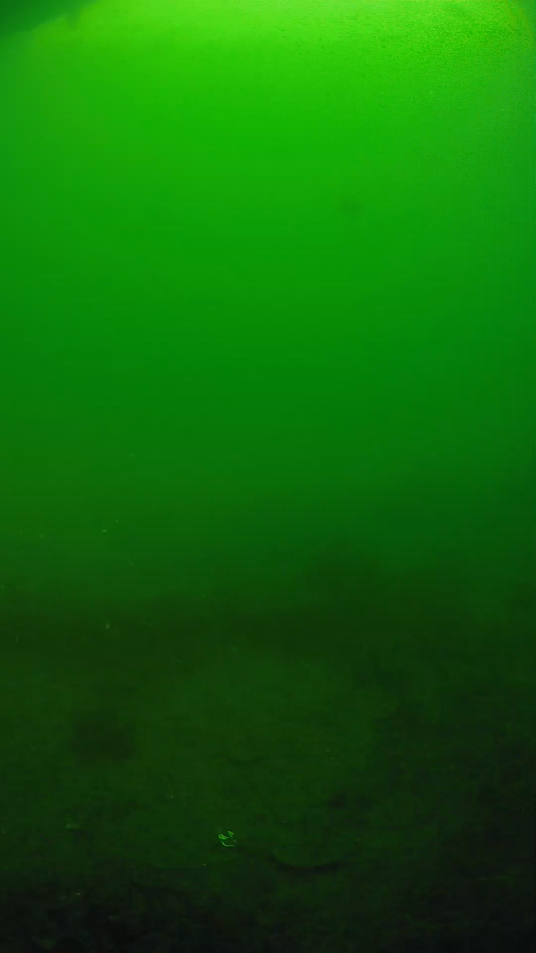 lander_ipcam_20250605081620.png