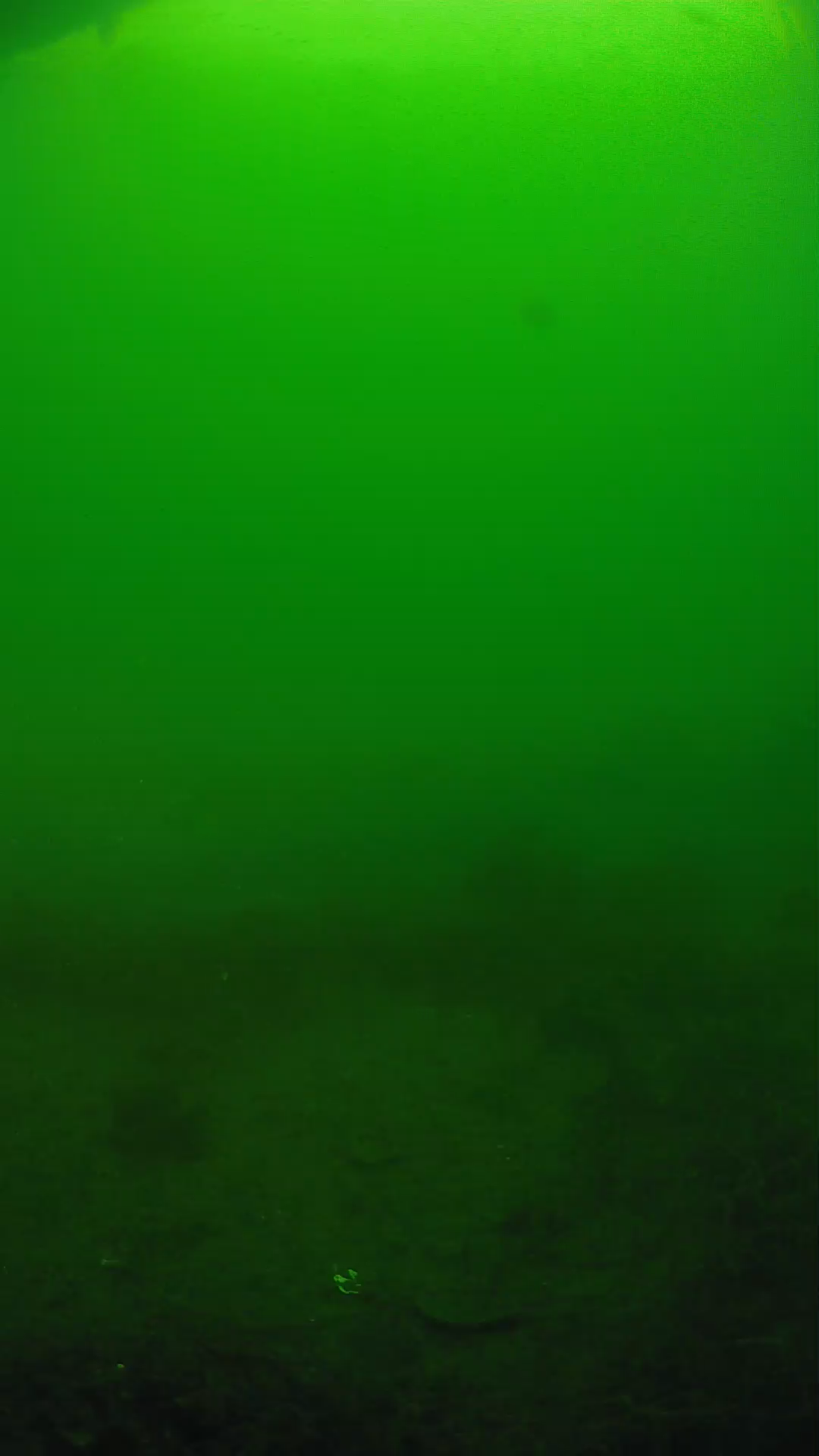 lander_ipcam_20250605081623.png
