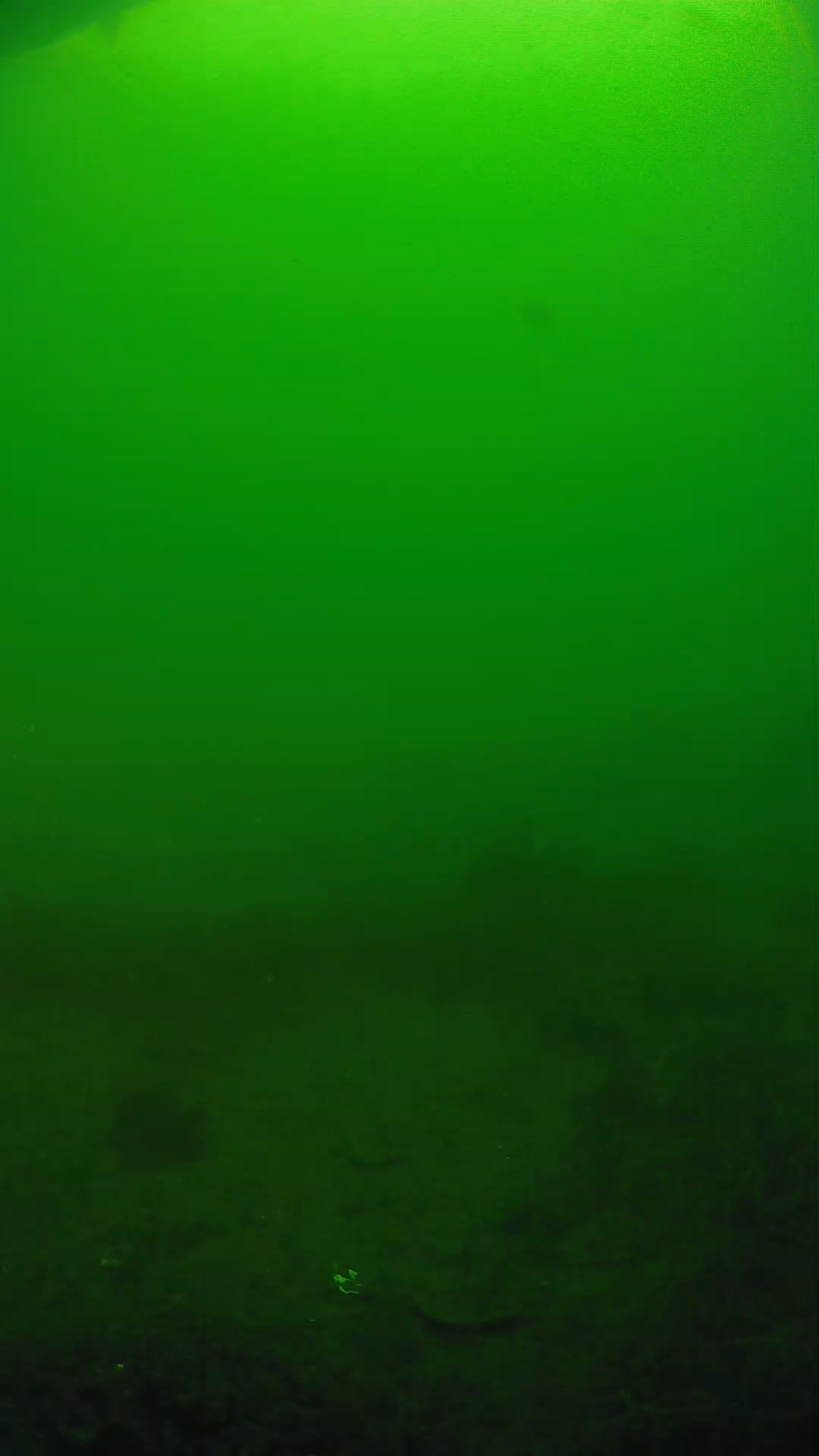 lander_ipcam_20250605081624.png
