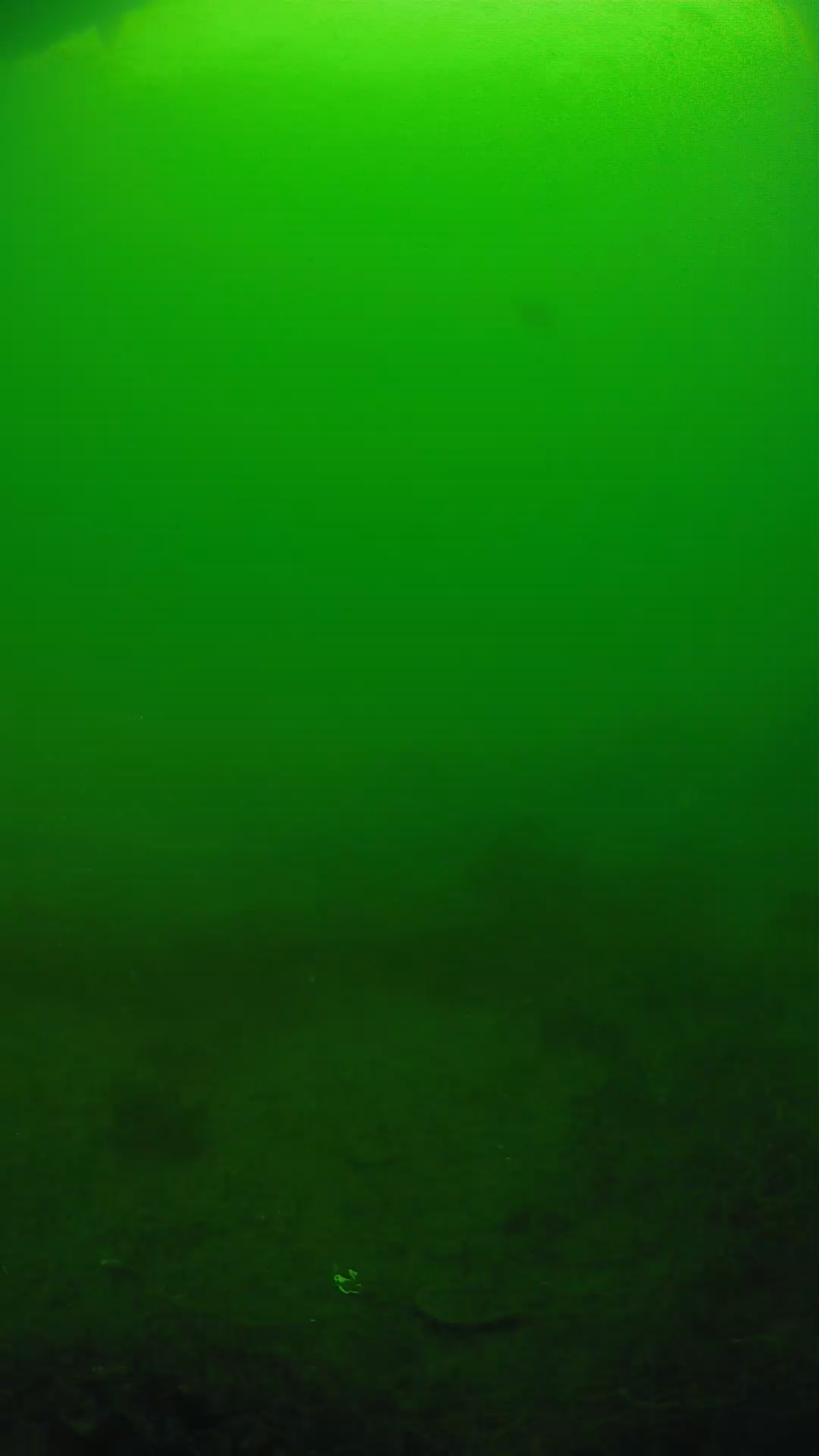 lander_ipcam_20250605081625.png