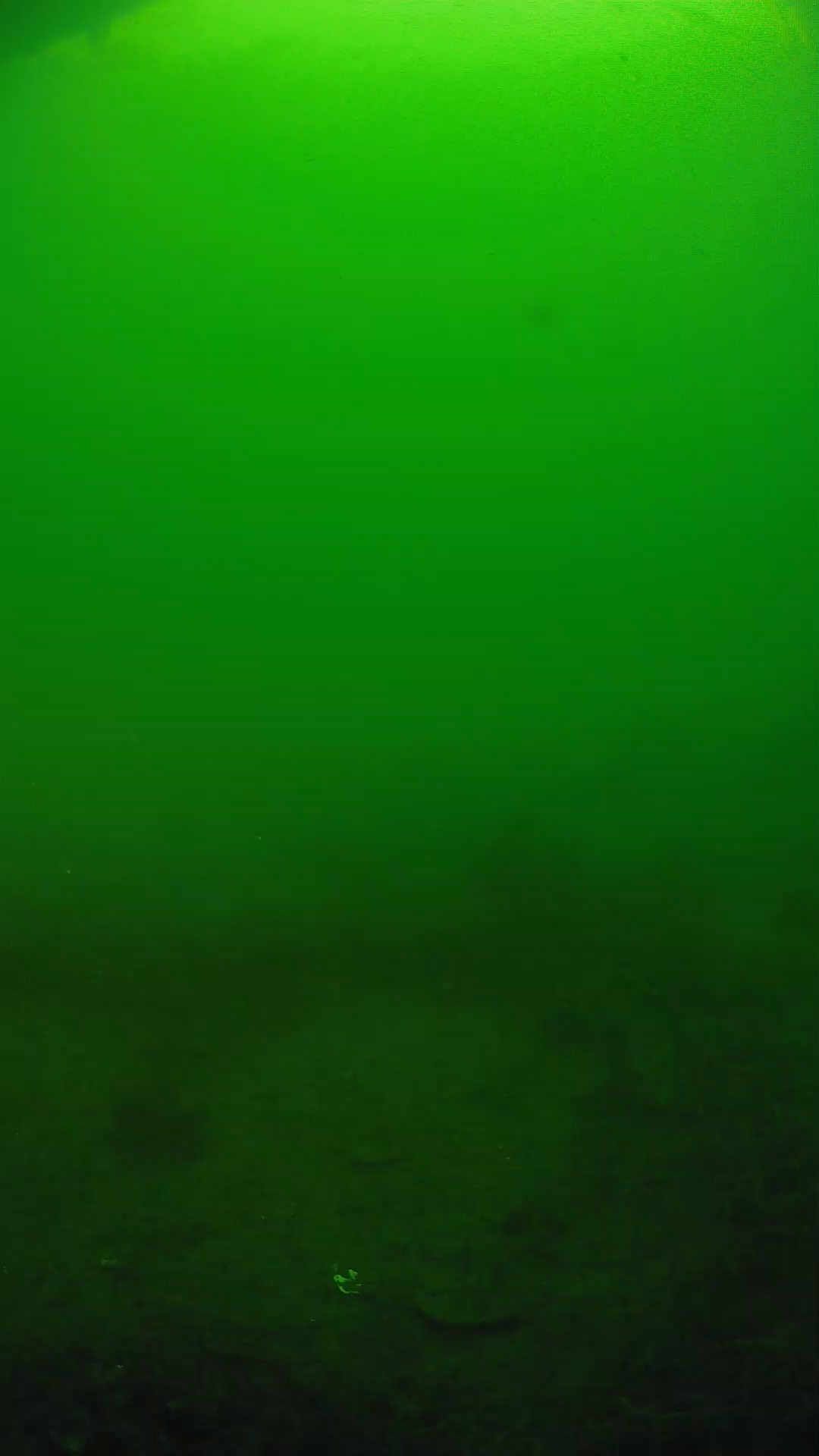 lander_ipcam_20250605081630.png