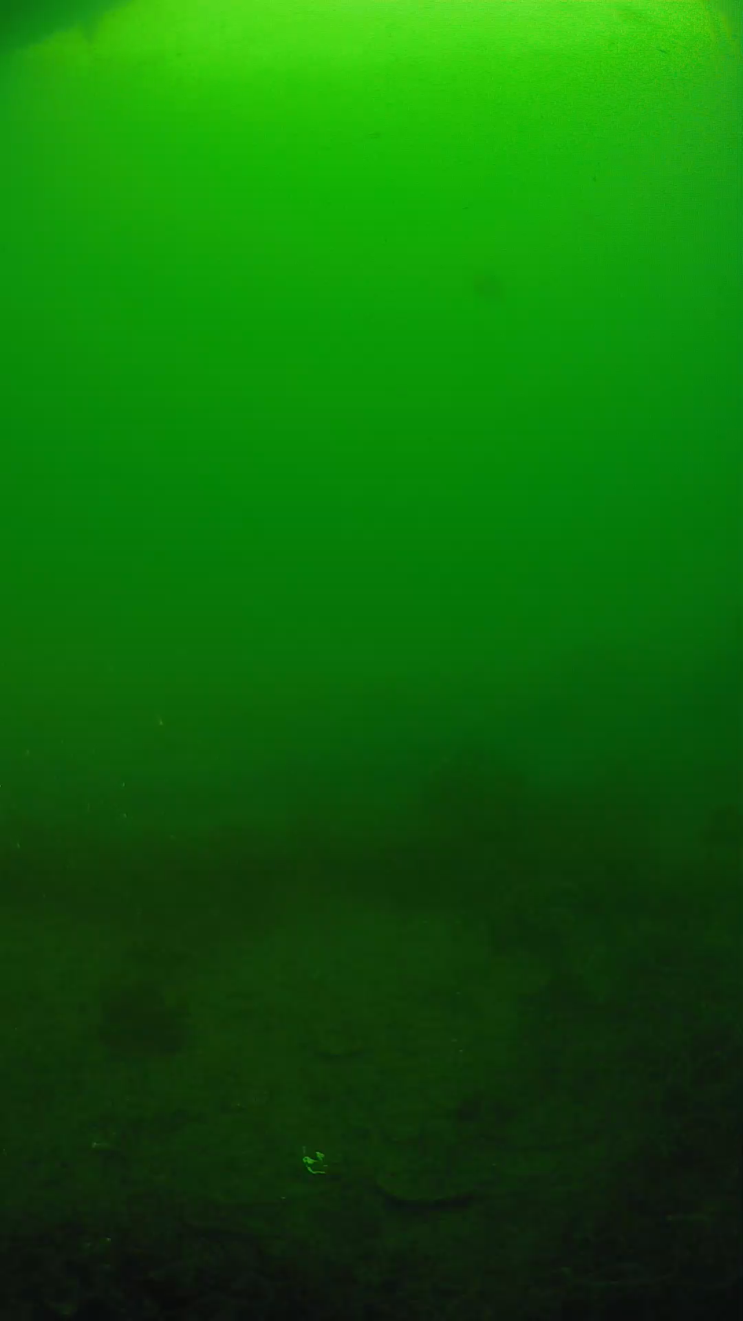 lander_ipcam_20250605081636.png