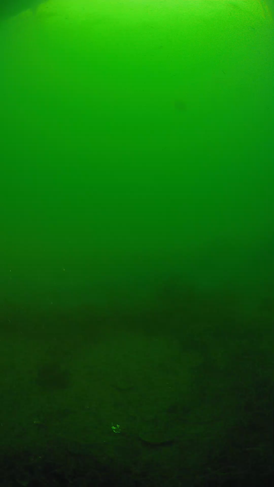 lander_ipcam_20250605081637.png