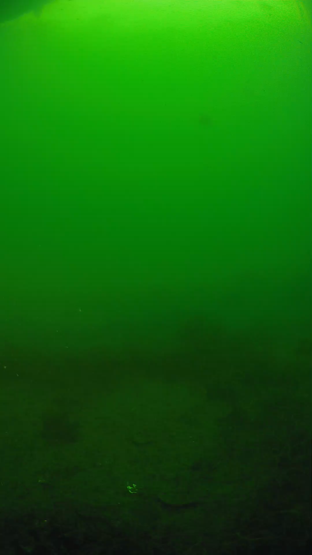 lander_ipcam_20250605081638.png