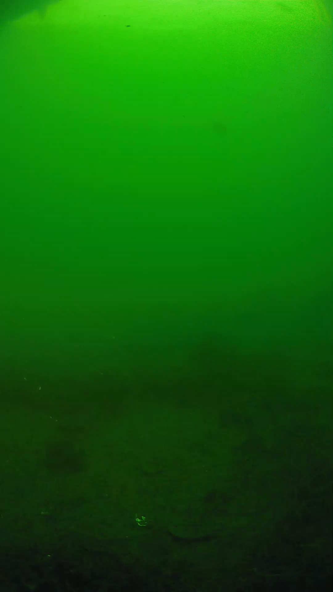 lander_ipcam_20250605081640.png
