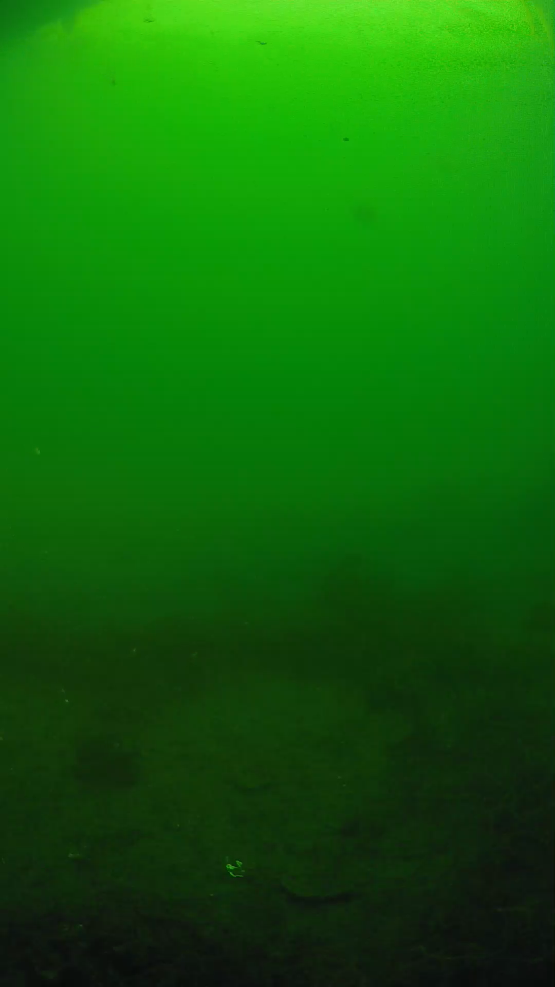 lander_ipcam_20250605081643.png