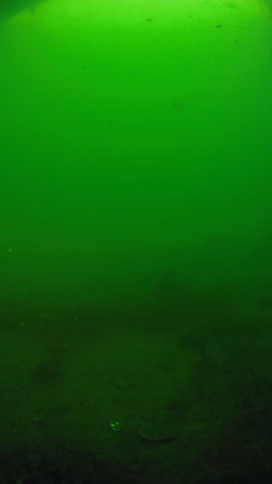 lander_ipcam_20250605081647.png
