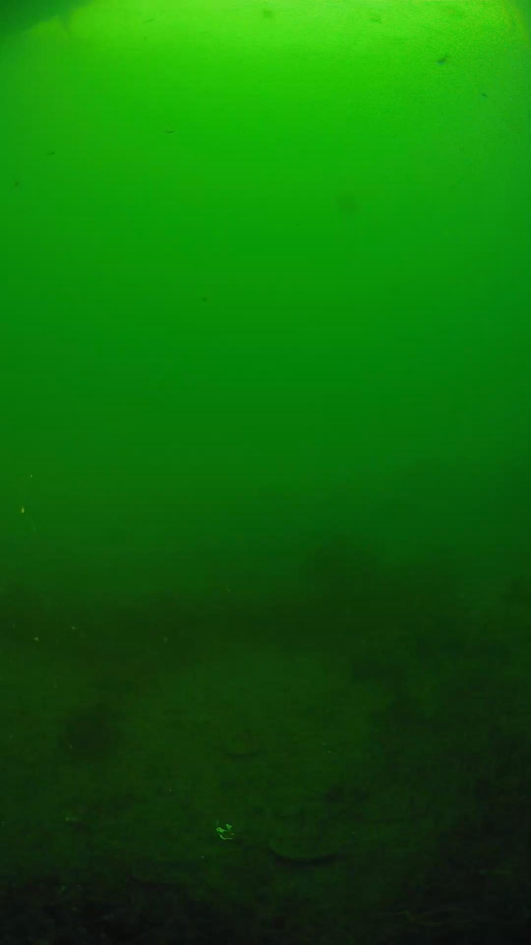 lander_ipcam_20250605081649.png