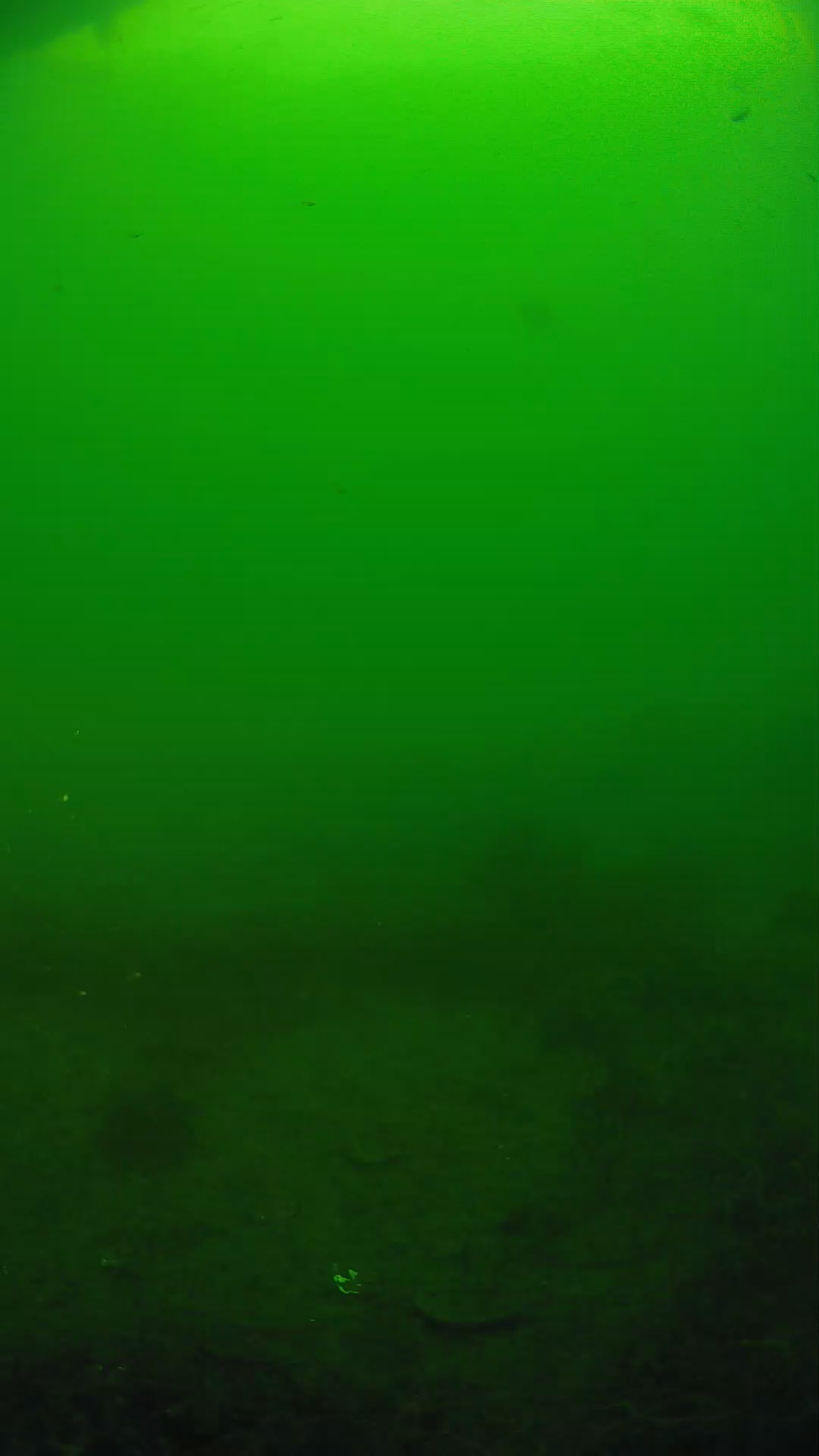 lander_ipcam_20250605081650.png