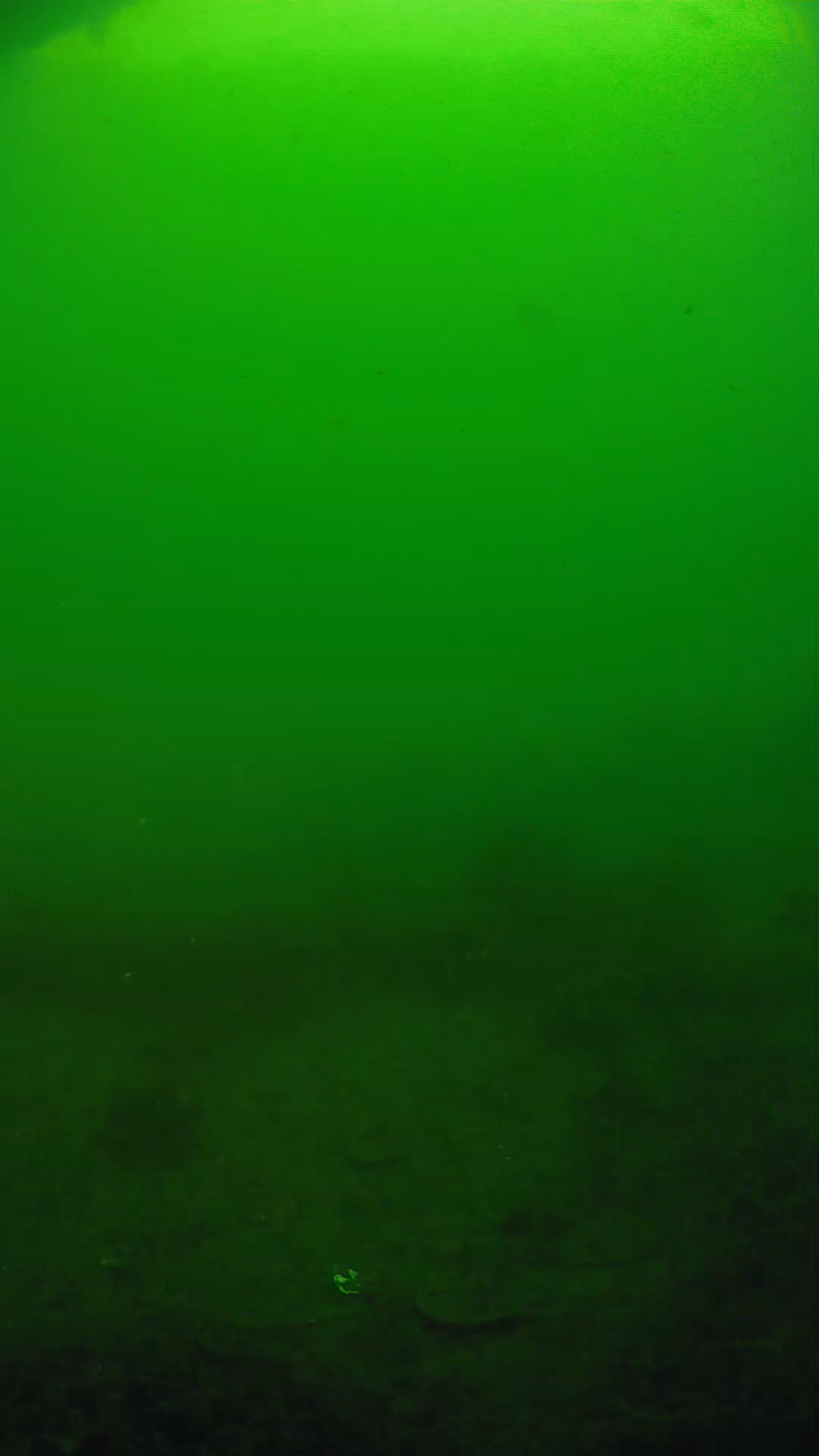 lander_ipcam_20250605081659.png