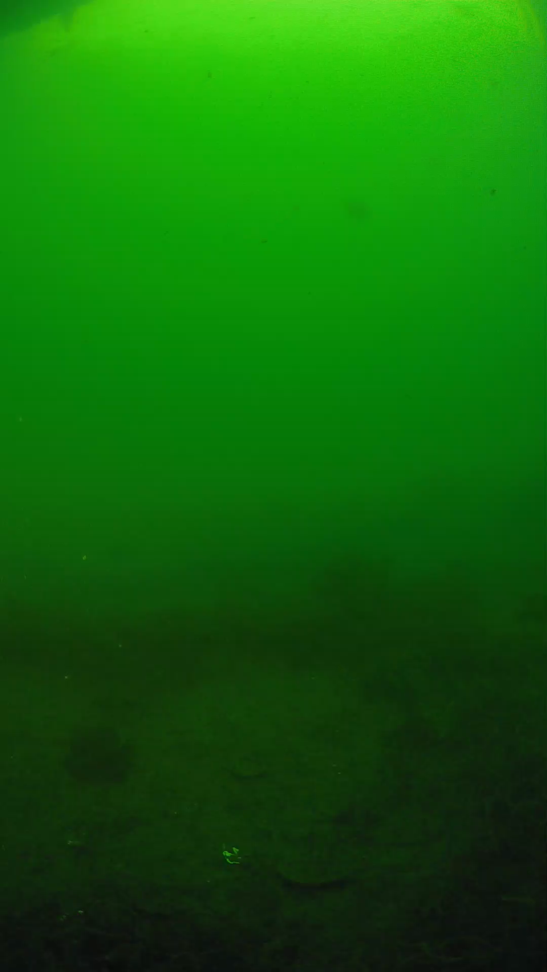 lander_ipcam_20250605081701.png