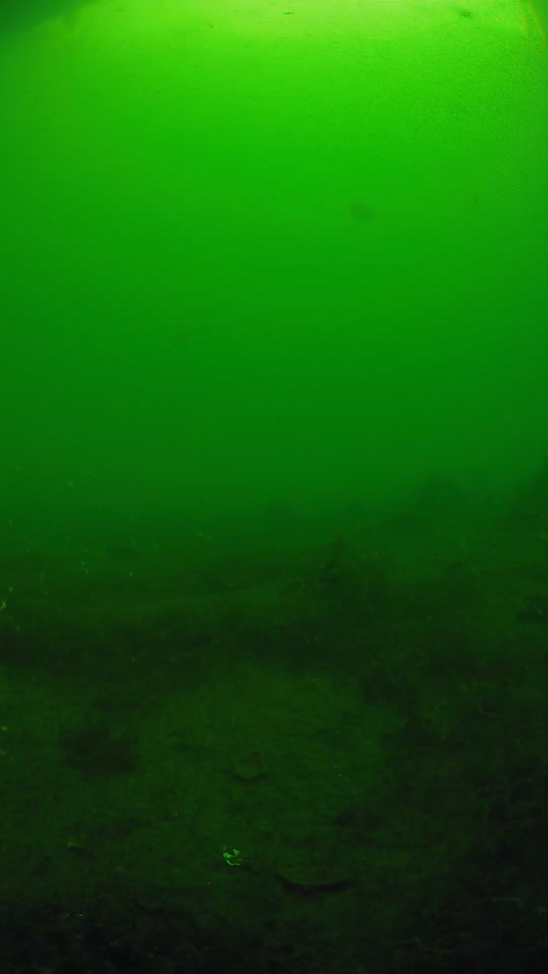 lander_ipcam_20250605083103.png
