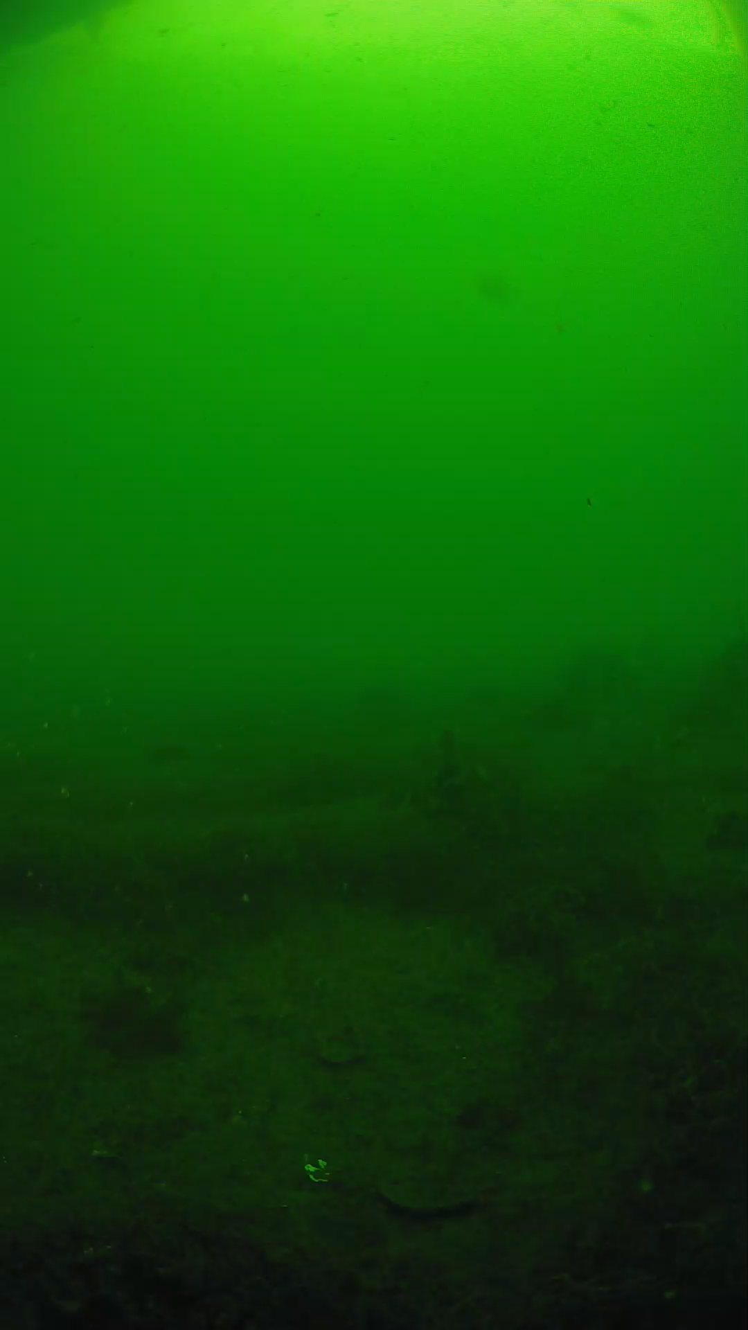 lander_ipcam_20250605083129.png