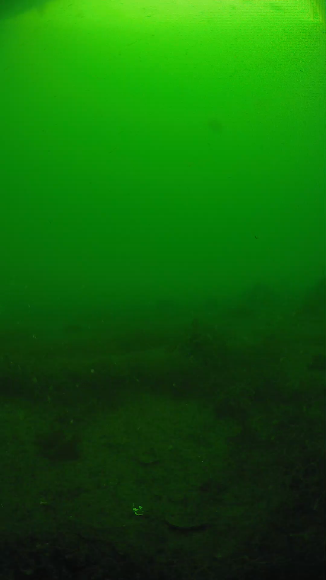 lander_ipcam_20250605083132.png