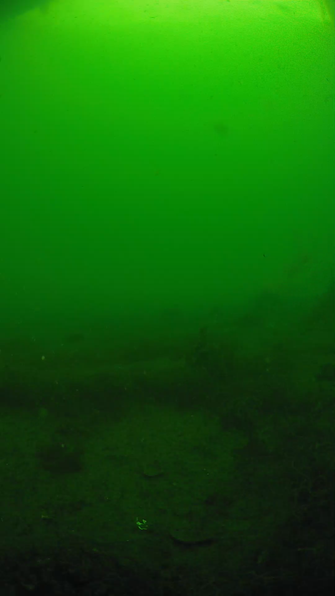 lander_ipcam_20250605083135.png