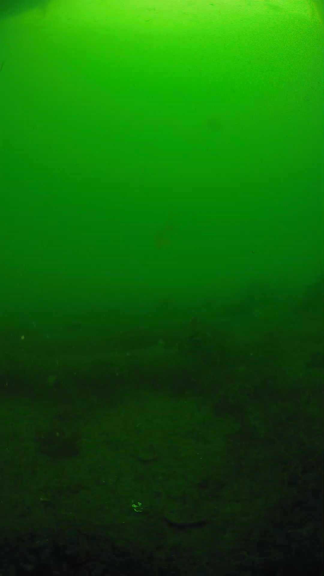 lander_ipcam_20250605083136.png