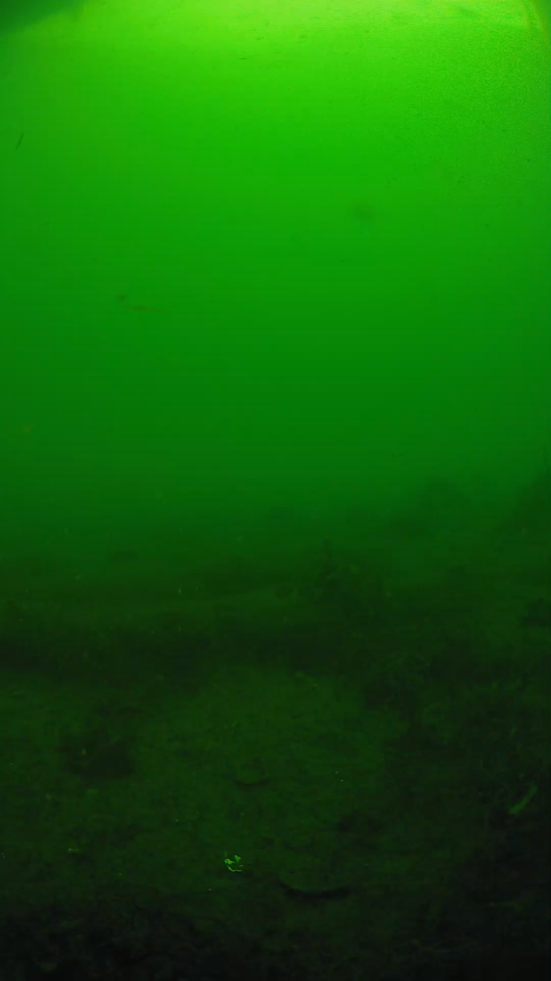 lander_ipcam_20250605083139.png