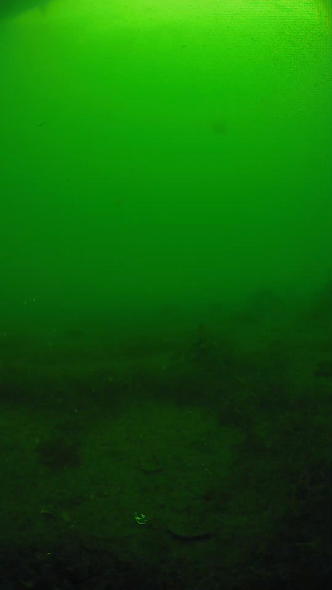lander_ipcam_20250605083150.png
