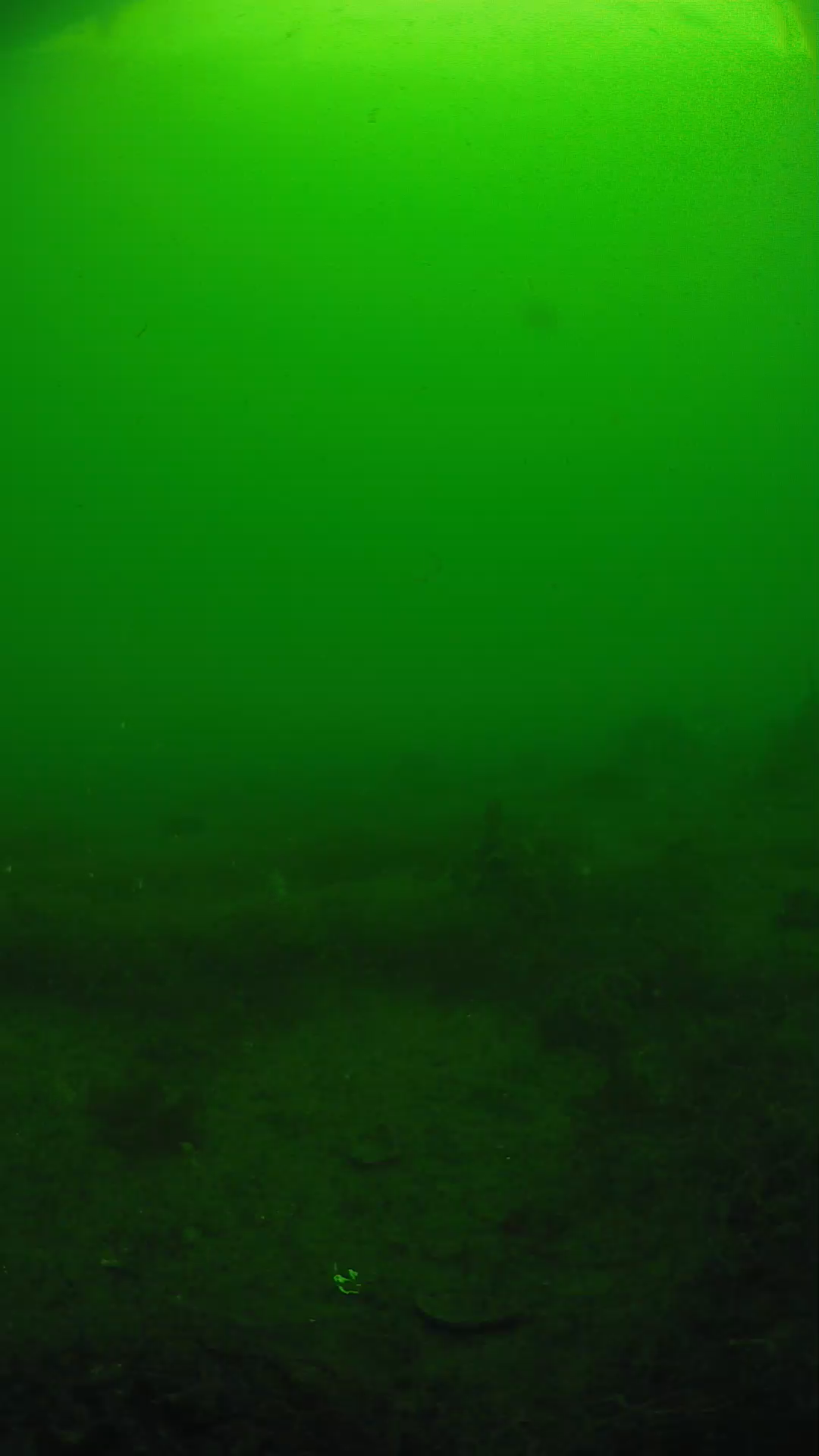 lander_ipcam_20250605083154.png